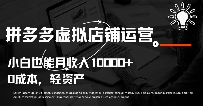 拼多多虚拟店铺运营小白也能月收入10000+【揭秘】-佳佳云创网