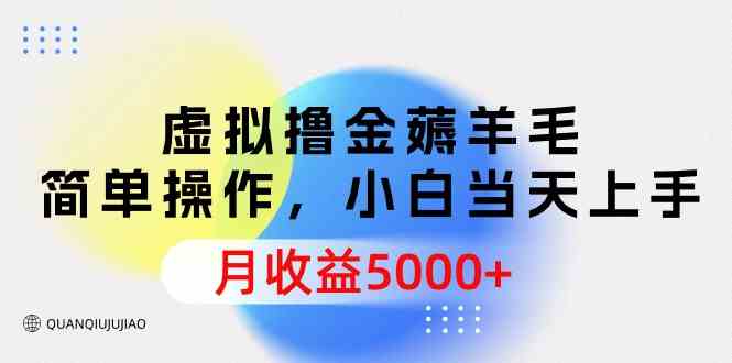 (9864期)虚拟撸金薅羊毛,简单操作,小白当天上手,月收益5000+-佳佳云创网