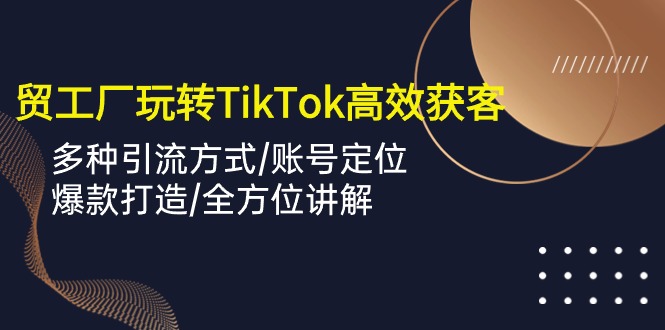 (10302期)外贸工厂玩转TikTok高效获客,多种引流方式/账号定位/爆款打造/全方位讲解-佳佳云创网