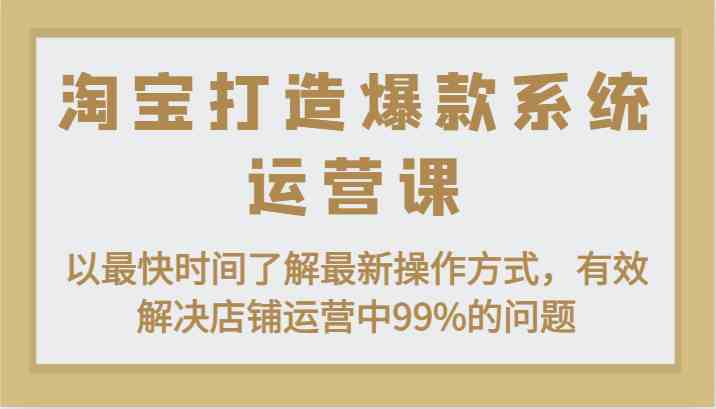 淘宝打造爆款系统运营课:以最快时间了解最新操作方式,有效解决店铺运营中99%的问题-佳佳云创网