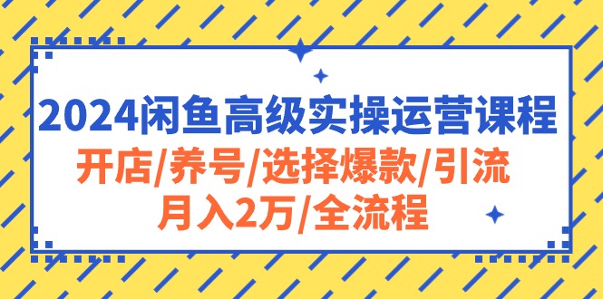 (10711期)2024闲鱼高级实操运营课程:开店/养号/选择爆款/引流/月入2万/全流程-佳佳云创网