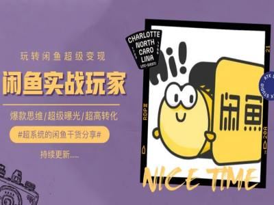 手把手教你0到1系统玩转闲鱼变现,爆款思维/超级曝光/超高转化-佳佳云创网