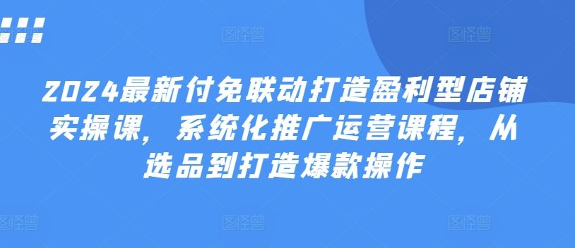 2024最新付免联动打造盈利型店铺实操课,系统化推广运营课程,从选品到打造爆款操作-佳佳云创网