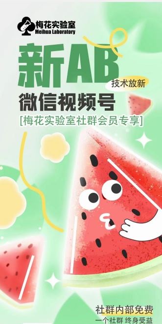 梅花实验室2024年AB技术视频号AB合成破解版-佳佳云创网