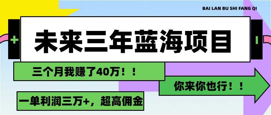 (11716期)未来三年,蓝海赛道,月入3万+-佳佳云创网
