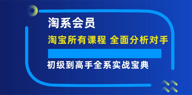 (12055期)淘系会员【淘宝所有课程,全面分析对手】,初级到高手全系实战宝典-佳佳云创网