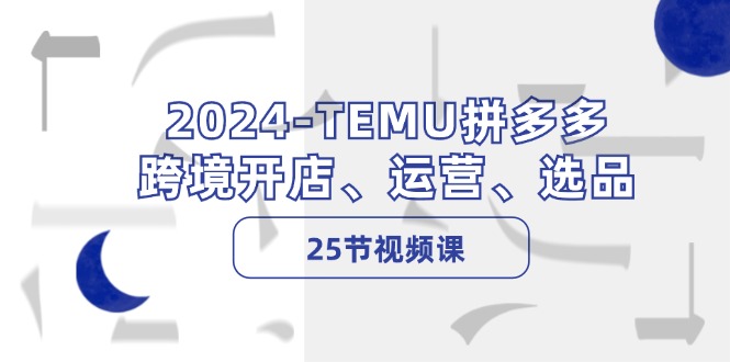 (12106期)2024-TEMU拼多多·跨境开店、运营、选品(25节视频课)-佳佳云创网