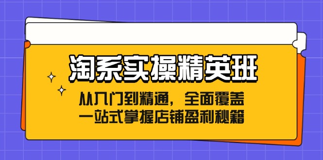 (12276期)淘系实操精英班:从入门到精通,全面覆盖,一站式掌握店铺盈利秘籍-佳佳云创网