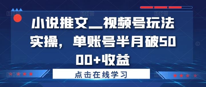 小说推文—视频号玩法实操,单账号半月破5000+收益-佳佳云创网