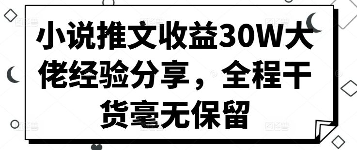 小说推文收益30W大佬经验分享,全程干货毫无保留-佳佳云创网