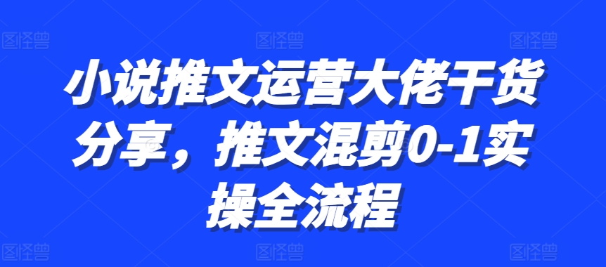 小说推文运营大佬干货分享,推文混剪0-1实操全流程-佳佳云创网
