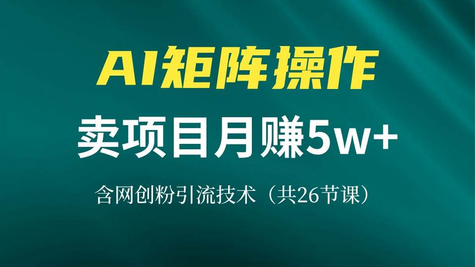 (13335期)网创IP打造课,借助AI卖项目月赚5万+,含引流技术(共26节课)-佳佳云创网