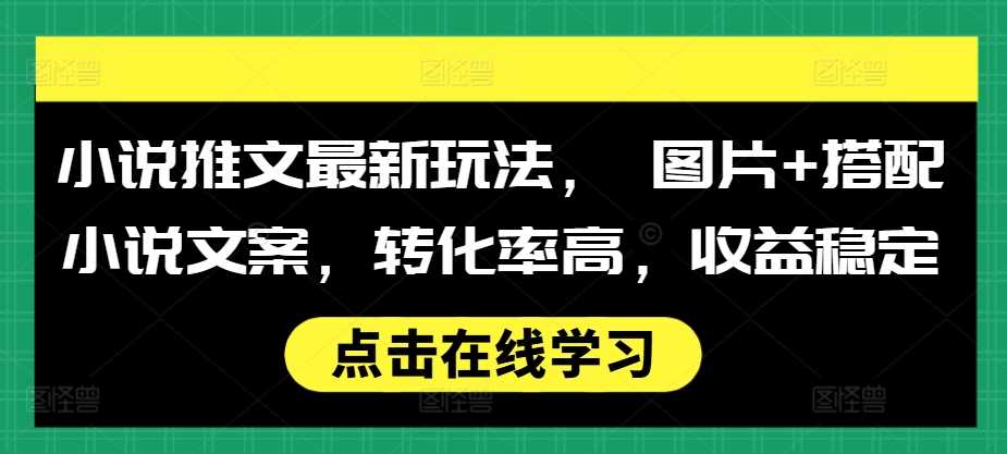 小说推文最新玩法, 图片+搭配小说文案,转化率高,收益稳定-佳佳云创网