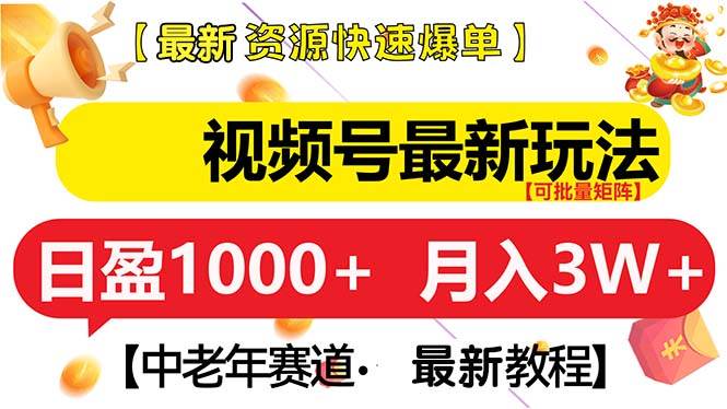 (13530期)视频号最新玩法 中老年赛道 月入3W+-佳佳云创网