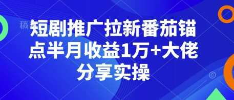 短剧推广拉新番茄锚点半月收益1万+大佬分享实操-佳佳云创网
