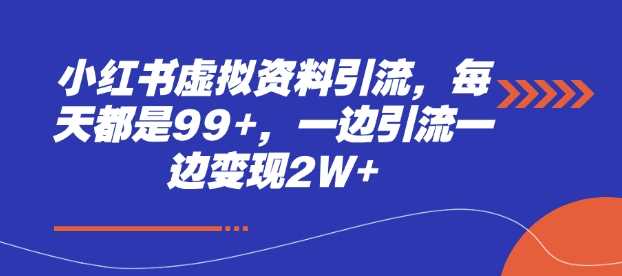 小红书虚拟资料引流,每天都是99+,一边引流一边变现2W+-佳佳云创网