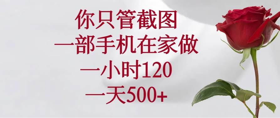 (14248期)你只管截图,一部手机在家做,一小时120,一天500+-佳佳云创网