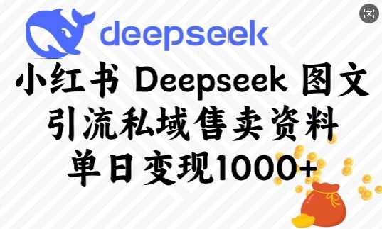 小红书Deepseek图文引流私域售卖资料,单日变现多张-佳佳云创网