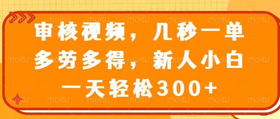 (14294期)审核视频,几秒一单,多劳多得,新人小白一天轻松300+-佳佳云创网