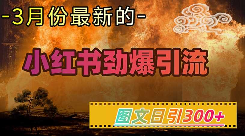小红书超劲爆引流手段,图文日引300+轻松变现1W-佳佳云创网
