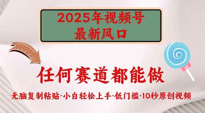 (14453期)2025年视频号新风口,低门槛只需要无脑执行-佳佳云创网