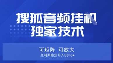 【搜狐音频挂G】独家技术,可矩阵可放大,红利期稳定月入8k【揭秘】-佳佳云创网