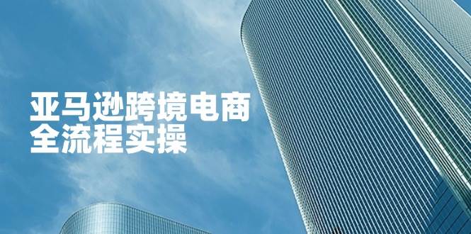 (14252期)亚马逊跨境电商全流程实操,教你从零开始,掌握店铺运营与广告技巧-佳佳云创网
