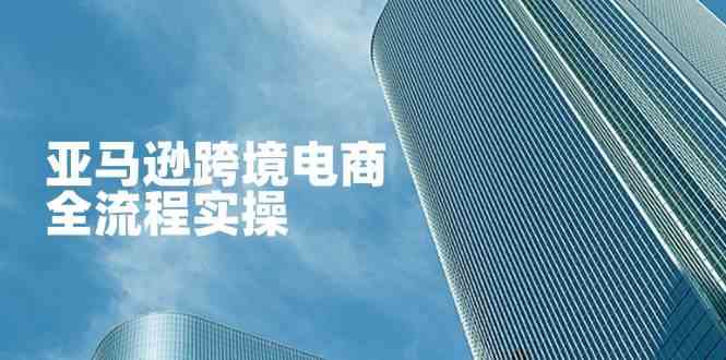 亚马逊跨境电商全流程实操,教你从零开始,掌握店铺运营与广告技巧-佳佳云创网