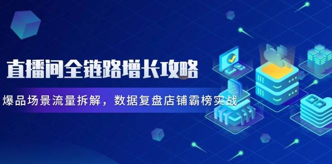 (14721期)直播间全链路增长攻略,爆品场景流量拆解,数据复盘店铺霸榜实战-佳佳云创网