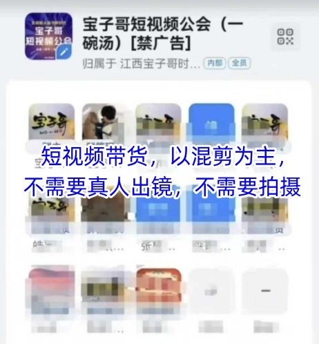 宝子哥头部团队短视频带货,以混剪为主,不需要真人出镜,不需要拍摄【更新】-佳佳云创网