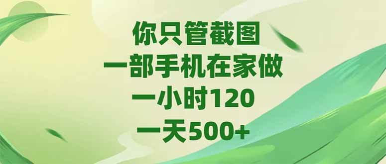 (15039期)你只管截图,一部手机在家做,一小时120,-天500+-佳佳云创网