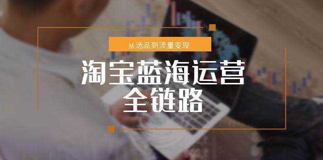 (15160期)淘宝蓝海运营全链路,从选品到流量变现,小类目突围完整方案-佳佳云创网