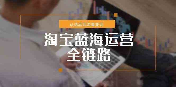 淘宝蓝海运营全链路,从选品到流量变现,小类目突围完整方案-佳佳云创网