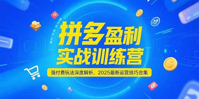 (15183期)拼多多盈利实战训练营,强付费玩法深度解析,2025最新运营技巧合集-佳佳云创网