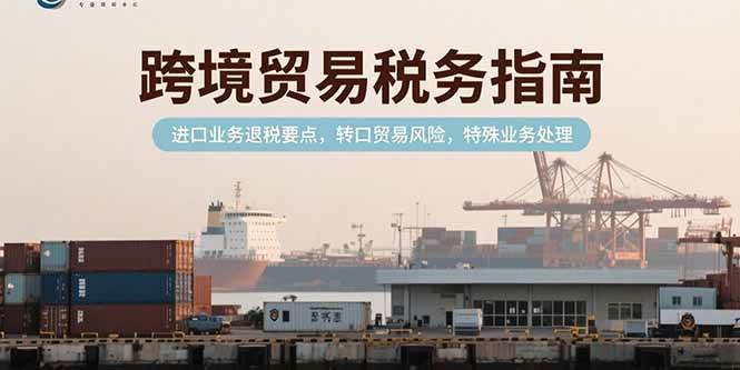 (15381期)跨境贸易税务指南,进口业务退税要点,转口贸易风险,特殊业务处理-佳佳云创网