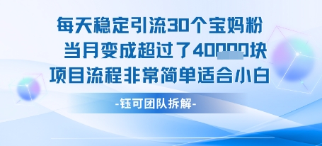 每天稳定引流30个人 当月变成超过了4个W项目流程非常简单适合小白-佳佳云创网
