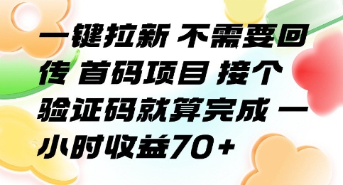 一键拉新 不需要回传 首码项目 接个验证码就算完成 一小时收益70+【揭秘】-佳佳云创网