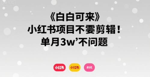 小白可来 小红书项目不需要剪辑 单月3w不是问题-佳佳云创网