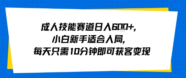 成人技能赛道日入多张,小白新手适合入局,每天只需10分钟即可获客变现-佳佳云创网