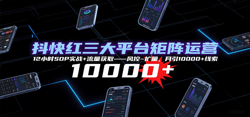 抖快红三大平台矩阵运营,12小时SOP实战+流量获取-风控-扩量,月引10000+线索-佳佳云创网