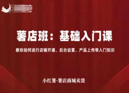 小红薯薯店商城卖货,基础入门课,教你如何进行店铺开通、后台设置、产品上传等入门知识-佳佳云创网