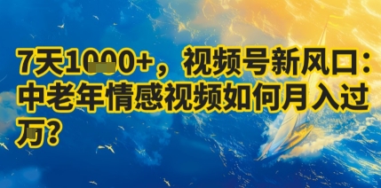 7天收益1k+,视频号新风口:中老年情感视频如何月入过W?-佳佳云创网