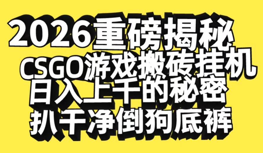 2026开年重磅解密,CSGO游戏搬砖挂机日入上千的秘密,把倒狗的底裤扒干-佳佳云创网