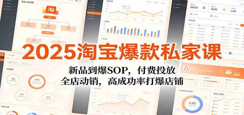 2025淘宝爆款私家课:新品到爆SOP,付费投放,全店动销,高成功率打爆店铺-佳佳云创网