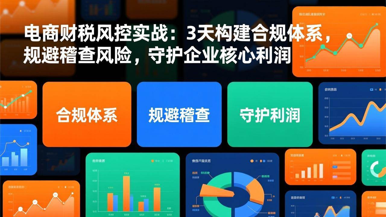 (17197期)电商财税风控实战:3天构建合规体系,规避稽查风险,守护企业核心利润-佳佳云创网