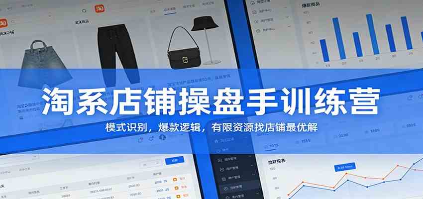 淘系店铺操盘手训练营:模式识别,爆款逻辑,有限资源找店铺最优解-佳佳云创网