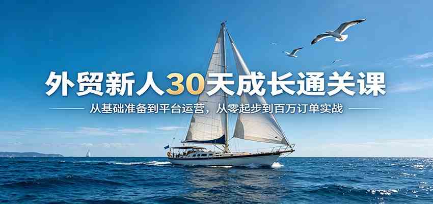 外贸新人30天成长通关课:从基础准备到平台运营,从零起步到百万订单实战-佳佳云创网