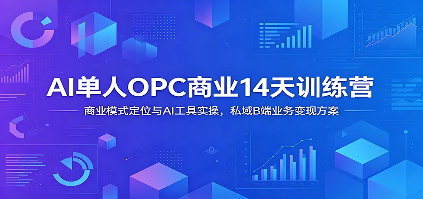 AI单人OPC商业14天训练营:商业模式定位与AI工具实操,私域B端业务变现方案-佳佳云创网