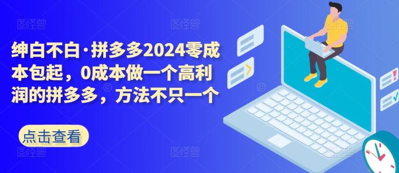 拼多多2024零成本包起，0成本做一个高利润的拼多多，方法不只一个-佳佳云创网