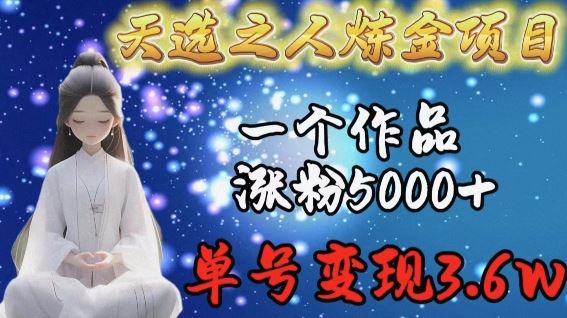 天选之人炼金项目，一个作品涨粉5000+，单号变现3.6w【揭秘】-佳佳云创网